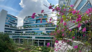 Stanford in south Chennai: IIT-M’s incubation cell creates most successful startup ecosystem